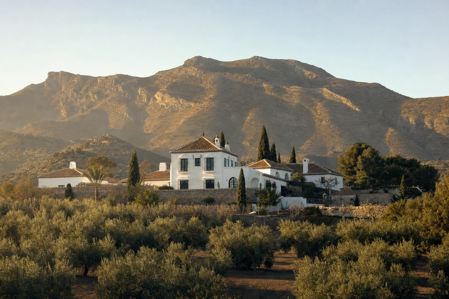 villa in Nueva Andalucia — frame 5